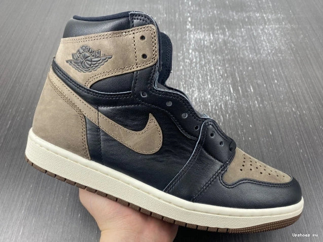 Palomino Jordan Retro DZ5485-020  OG  1  High 0808
